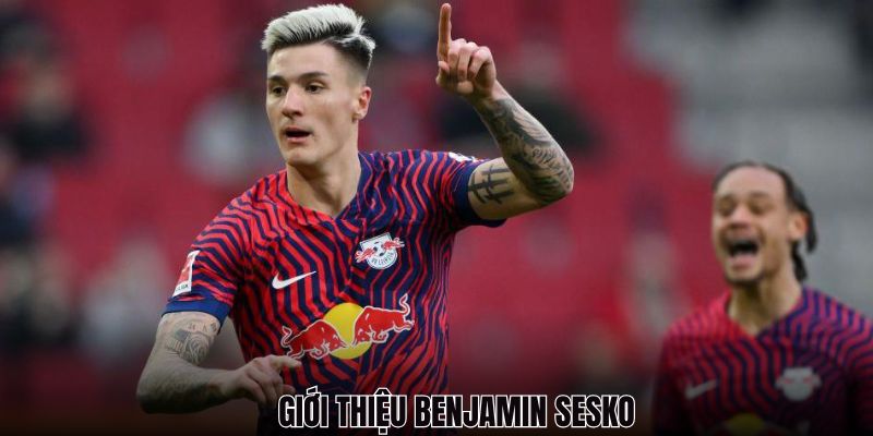 Những thông tin bạn cần biết về Benjamin Sesko